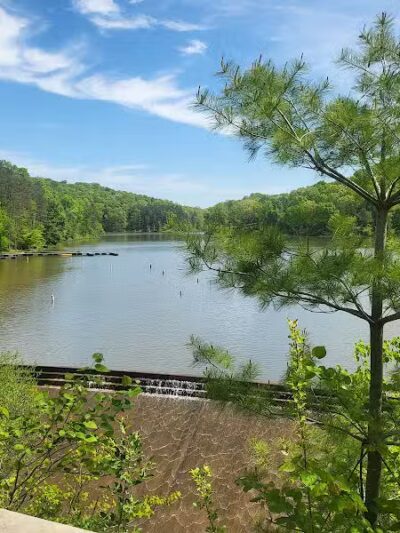 Zaleski State Forest - Zaleski, OH