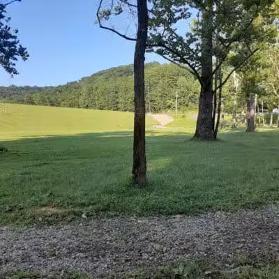 Zaleski State Forest - Zaleski, OH