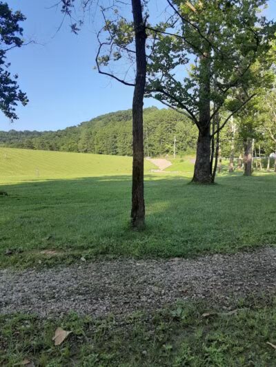 Zaleski State Forest - Zaleski, OH