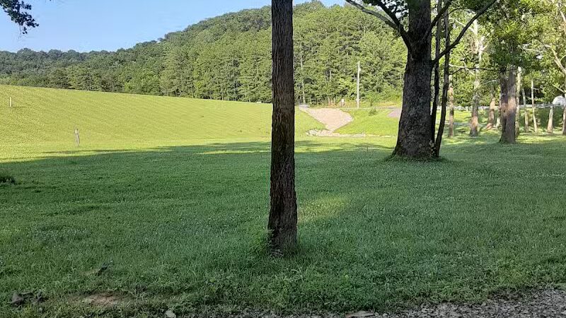 Zaleski State Forest - Zaleski, OH