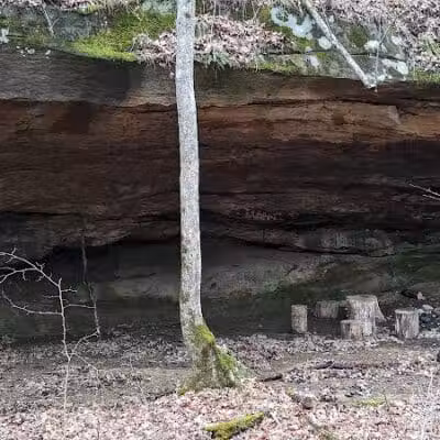 Zaleski State Forest - Zaleski, OH