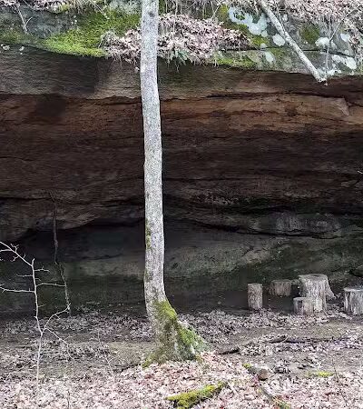 Zaleski State Forest - Zaleski, OH