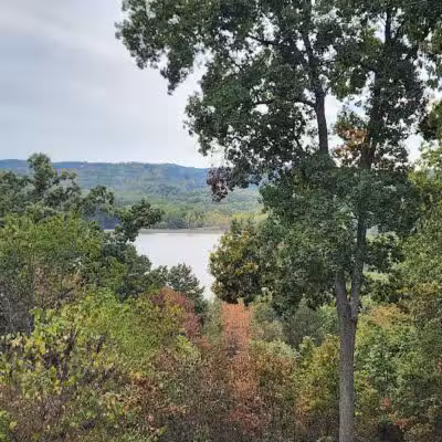 Zaleski State Forest - Zaleski, OH