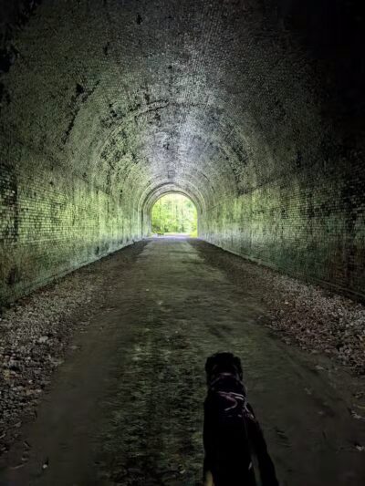 Zaleski State Forest - Zaleski, OH