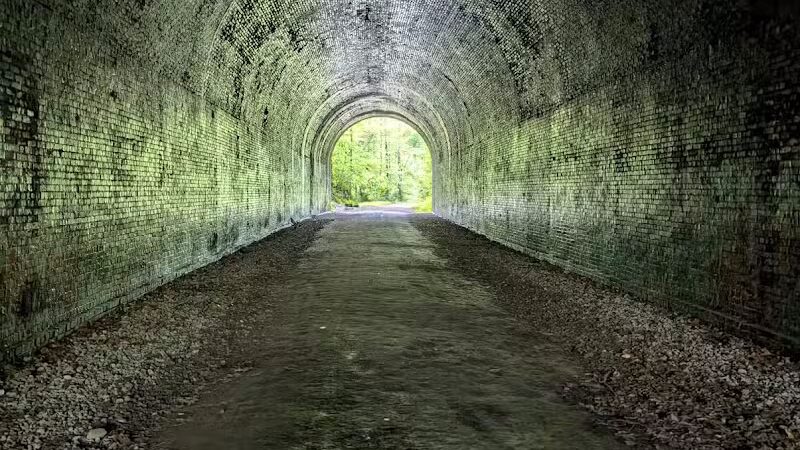Zaleski State Forest - Zaleski, OH