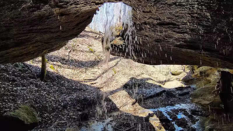 Zaleski State Forest - Zaleski, OH