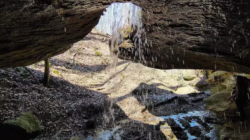 Zaleski State Forest - Zaleski, OH