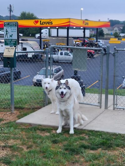 Dog Park at Love's Travel Stops - Zanesville, OH