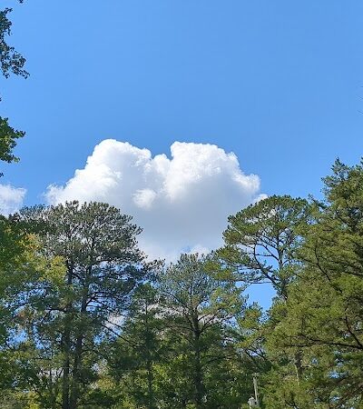 Choctaw Lake - Ackerman, MS