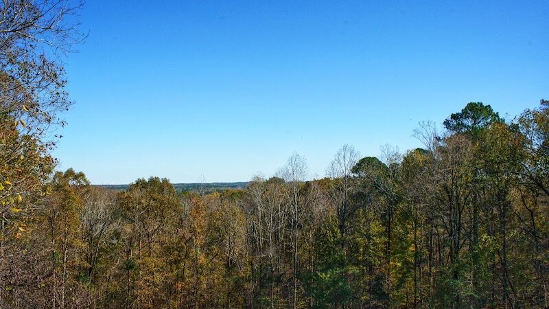 Jeff Busby Park - Ackerman, MS