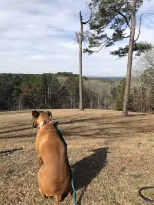 Jeff Busby Park - Ackerman, MS
