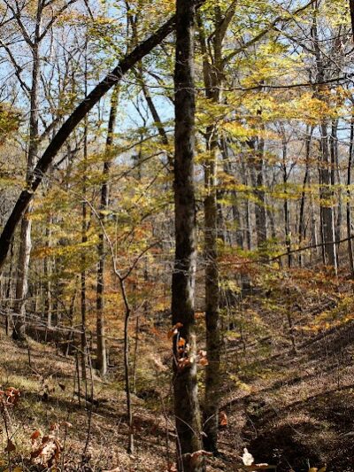 Jeff Busby Park - Ackerman, MS