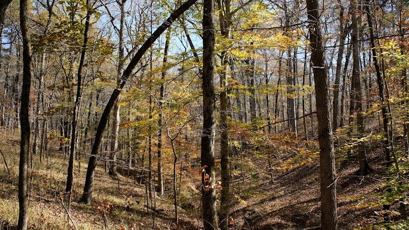 Jeff Busby Park - Ackerman, MS