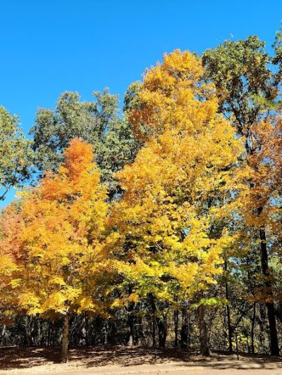 Jeff Busby Park - Ackerman, MS