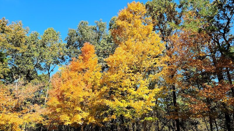Jeff Busby Park - Ackerman, MS