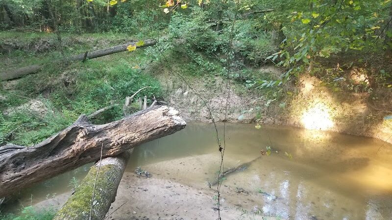 Jeff Busby Park - Ackerman, MS