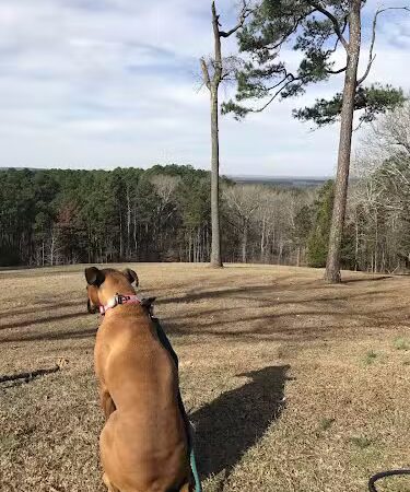 Jeff Busby Park - Ackerman, MS