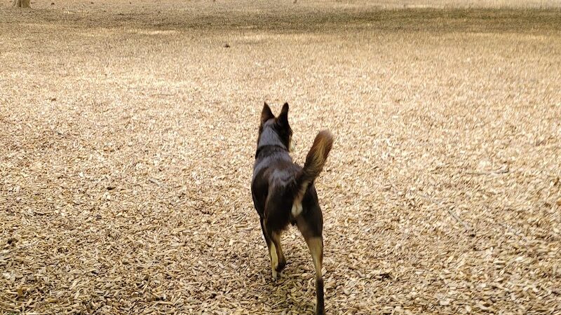 Pitner Road Dog Park - Acworth, GA