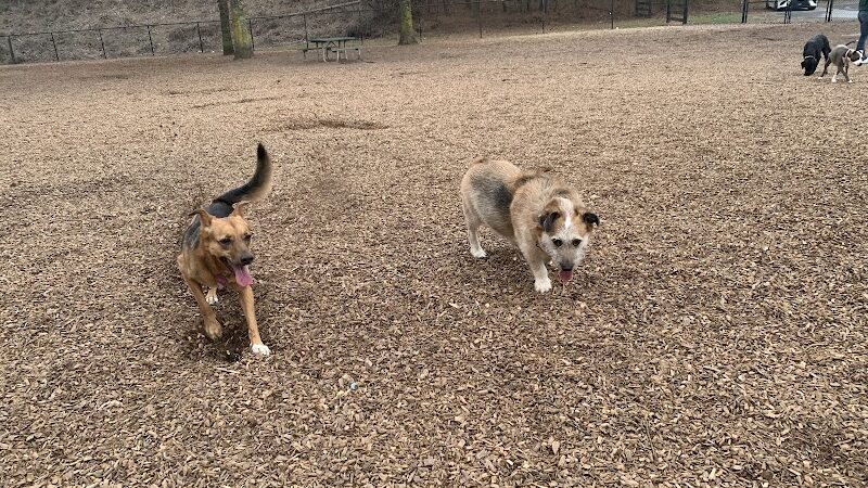 Pitner Road Dog Park - Acworth, GA