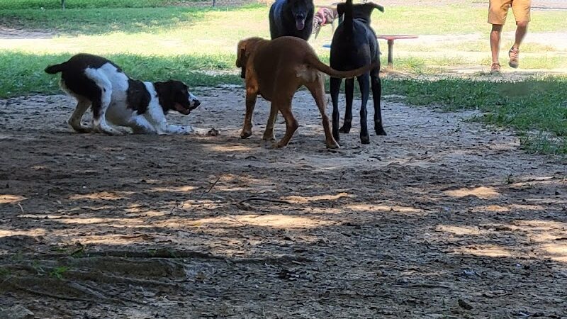 Pitner Road Dog Park - Acworth, GA