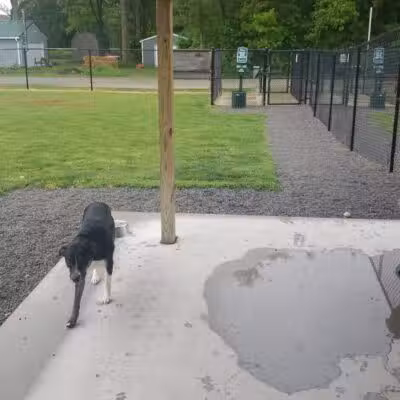 Ada Dog park - Ada,
