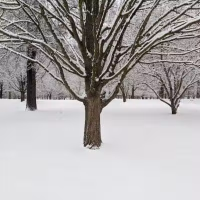 Ada Park - Ada,