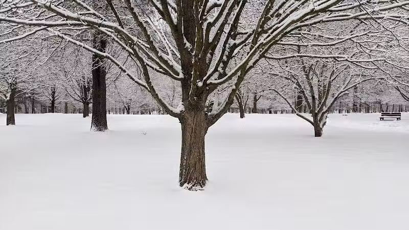Ada Park - Ada,
