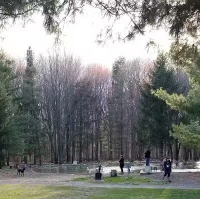 Shaggy Pines Dog Park - Ada, MI