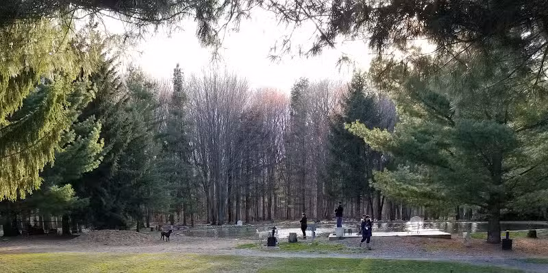 Shaggy Pines Dog Park - Ada, MI