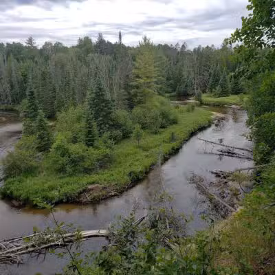 Agnes S. Andreae Nature Preserve - Afton,