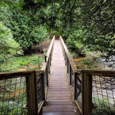 Agnes S. Andreae Nature Preserve - Afton,