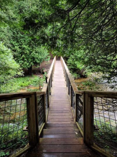 Agnes S. Andreae Nature Preserve - Afton,