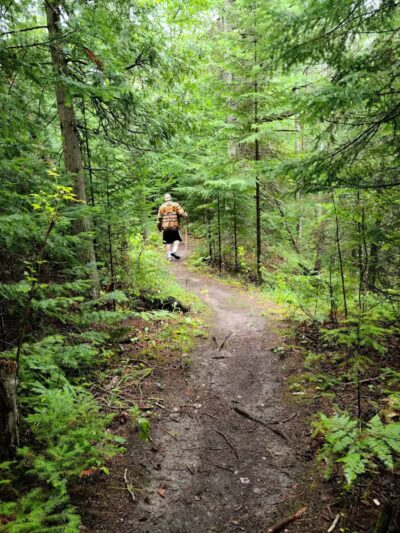 Agnes S. Andreae Nature Preserve - Afton,
