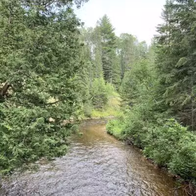 Agnes S. Andreae Nature Preserve - Afton,