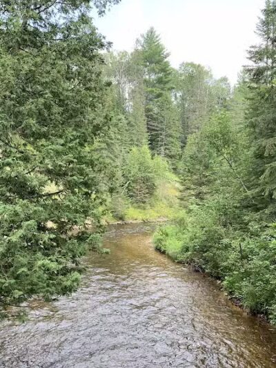 Agnes S. Andreae Nature Preserve - Afton,