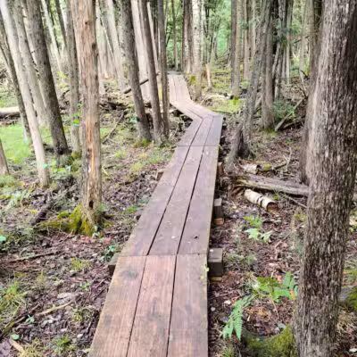 Agnes S. Andreae Nature Preserve - Afton,