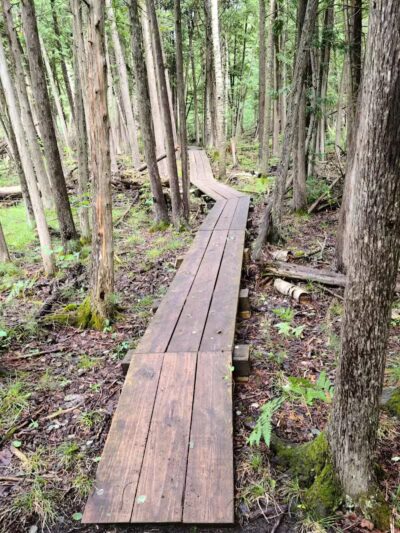 Agnes S. Andreae Nature Preserve - Afton,