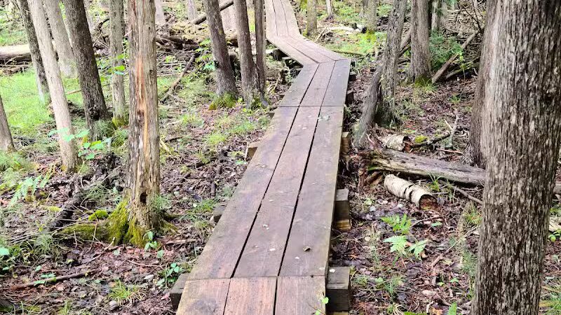 Agnes S. Andreae Nature Preserve - Afton,