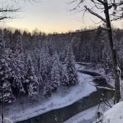 Agnes S. Andreae Nature Preserve - Afton,