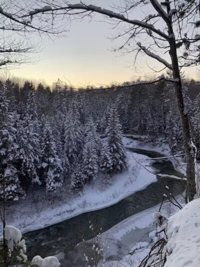 Agnes S. Andreae Nature Preserve - Afton,