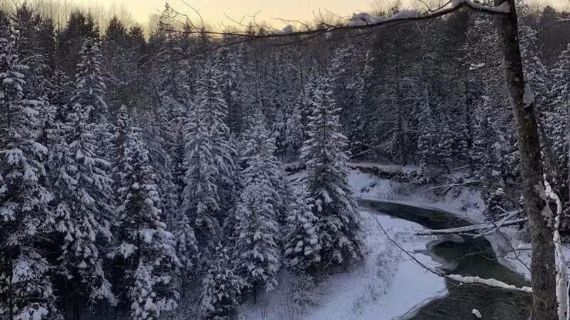 Agnes S. Andreae Nature Preserve - Afton,