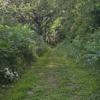 Belwin Conservancy: Stagecoach Prairie - Afton, MN