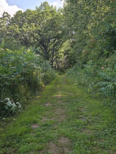 Belwin Conservancy: Stagecoach Prairie - Afton, MN