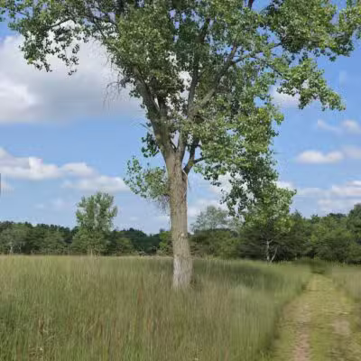 Belwin Conservancy: Stagecoach Prairie - Afton, MN