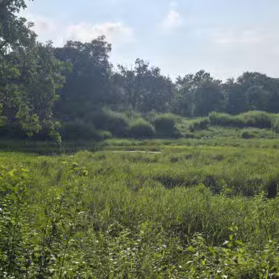 Belwin Conservancy: Stagecoach Prairie - Afton, MN