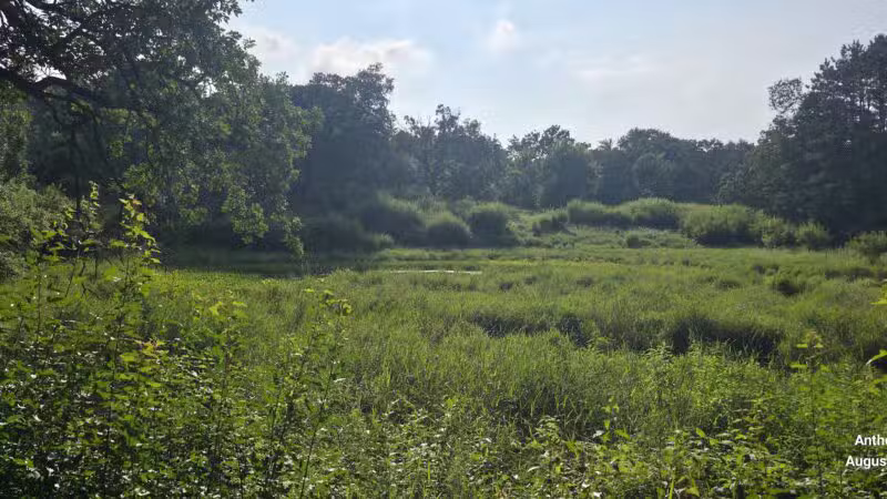 Belwin Conservancy: Stagecoach Prairie - Afton, MN