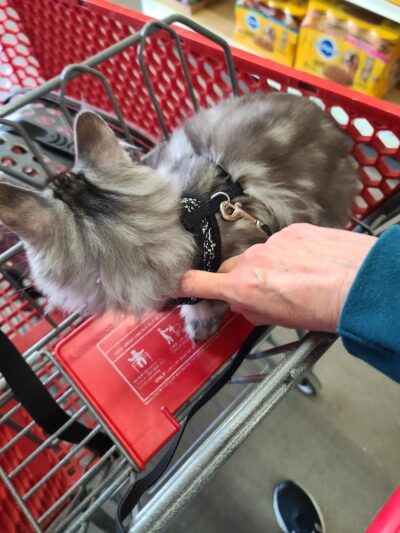 Afton Park - Afton, IA