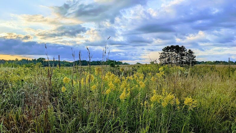 Belwin Conservancy: Stagecoach Prairie - Afton, MN