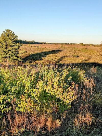 Belwin Conservancy: Stagecoach Prairie - Afton, MN