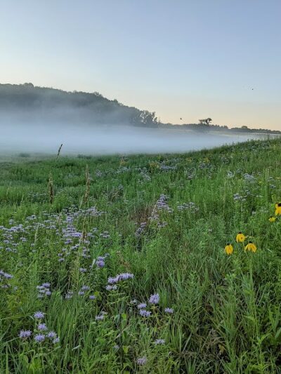 Belwin Conservancy: Stagecoach Prairie - Afton, MN